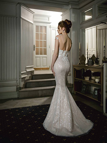 Wedding Dress Image