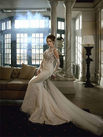 Wedding Dress Image