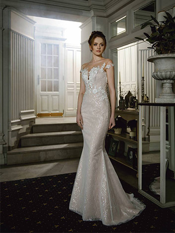 Wedding Dress Image